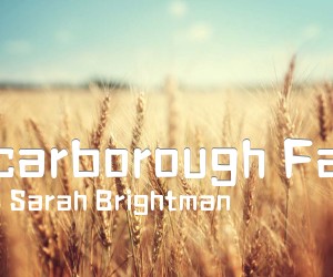 《Scarborough Fair吉他谱》_Sarah Brightman_G调_吉他图片谱2张