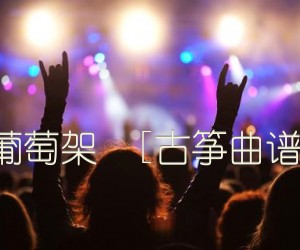 《葡萄架  [古筝曲谱]吉他谱》_佚名 图片谱1张