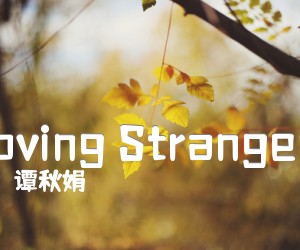 《Loving Strangers吉他谱》_谭秋娟_C调 图片谱2张