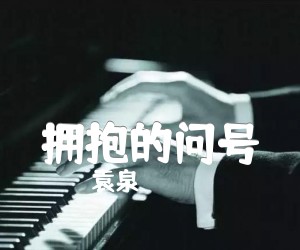 《拥抱的问号吉他谱》_袁泉 图片谱1张