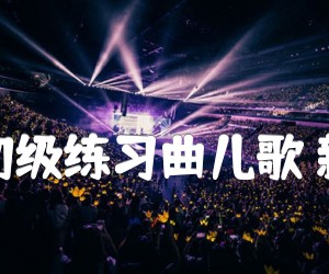 《吉他初级练习曲儿歌 新年好吉他谱》_吉他初级练习曲儿歌_C调 图片谱1张