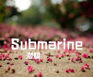 《Submarine吉他谱》_潜艇_未知调 图片谱2张