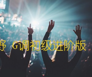 《斑马斑马 宋冬野 G调初级进阶版（酷音小伟吉他）吉他谱》_群星_G调_吉他图片谱1张