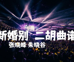 《新婚别  二胡曲谱吉他谱》_张晓峰 朱晓谷 图片谱1张