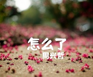 《怎么了吉他谱》_周兴哲_G调 图片谱1张