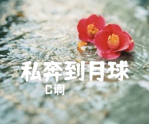 《私奔到月球》