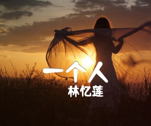 《一个人吉他谱》_林忆莲_未知调 图片谱1张