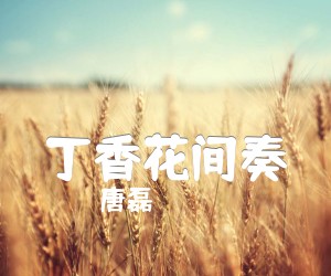 《丁香花间奏吉他谱》_唐磊_G调_吉他图片谱1张