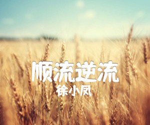 《徐小凤 顺流逆流吉他谱》_徐小凤_F调 图片谱3张