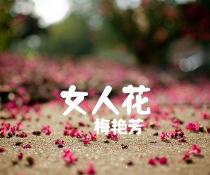 《女人花吉他谱》_梅艳芳_F调_吉他图片谱1张