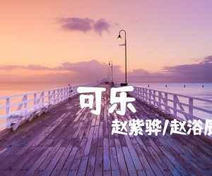 《可乐吉他谱》_赵紫骅/赵浴辰 图片谱4张