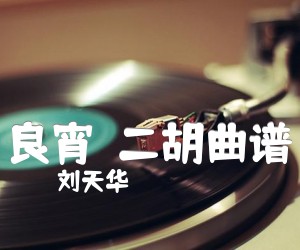 《良宵  二胡曲谱吉他谱》_刘天华_D调 图片谱1张