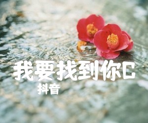 《我要找到你C吉他谱》_抖音_E调 图片谱2张