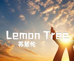 《Lemon Tree吉他谱》_苏慧伦_G调 图片谱5张