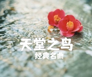 《天堂之鸟吉他谱》_经典名曲 图片谱1张