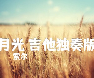 《月光 吉他独奏版吉他谱》_索尔 图片谱2张