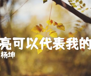 《月亮可以代表我的心吉他谱》_杨坤 图片谱1张