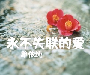 《永不失联的爱吉他谱》_单依纯_D调 图片谱2张