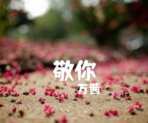 《敬你吉他谱》_万茜_C调 图片谱2张