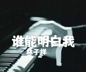 《谁能明白我吉他谱》_林子祥_文字谱