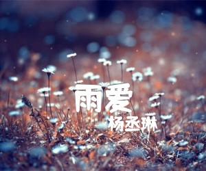 《雨爱吉他谱》_杨丞琳_C调 图片谱2张