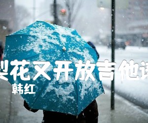 《梨花又开放吉他谱吉他谱》_韩红_G调 图片谱2张