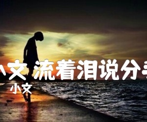 《小文 流着泪说分手吉他谱》_小文 图片谱3张