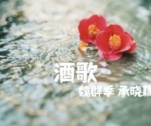 《酒歌吉他谱》_魏群季 承晓藕_D调_吉他图片谱1张