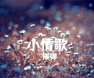 《小情歌》