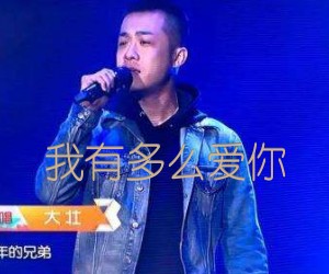 《我有多么爱你吉他谱》_刘大壮_G调 图片谱4张