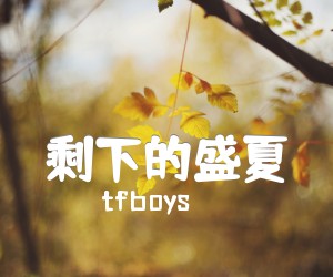 《剩下的盛夏吉他谱》_tfboys_E调 图片谱3张