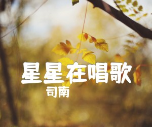 《星星在唱歌吉他谱》_司南 图片谱3张