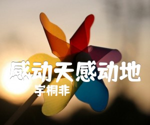 《感动天感动地吉他谱》_宇桐非 图片谱1张