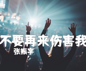 《张振宇 不要再来伤害我吉他谱》_张振宇_C调 图片谱3张