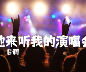 《她来听我的演唱会》