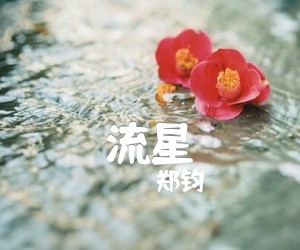 《流星吉他谱》_郑钧 图片谱1张