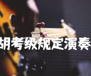 《综合练习(中国二胡考级规定演奏曲五级) 二胡曲谱吉他谱》_赵砚臣_D调_吉他图片谱1张