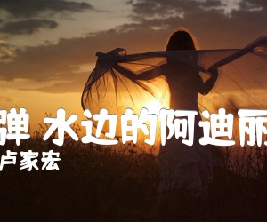 《指弹 水边的阿迪丽娜吉他谱》_卢家宏 图片谱2张