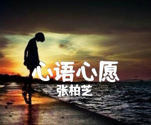 《心语心愿吉他谱》_张柏芝__标准版_吉他图片谱2张