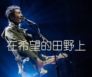 《在希望的田野上吉他谱》_朴树_未知调 图片谱1张