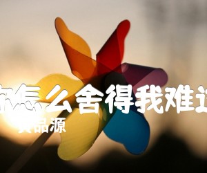 《你怎么舍得我难过吉他谱》_黄品源_C调 图片谱2张