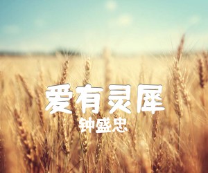 《爱有灵犀吉他谱》_钟盛忠 图片谱1张