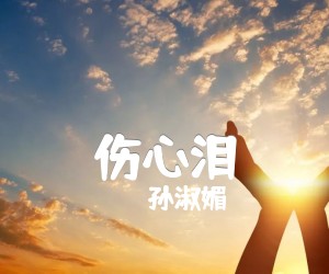 《伤心泪吉他谱》_孙淑媚_G调 图片谱1张