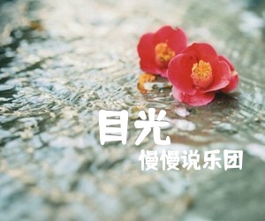 《目光吉他谱》_慢慢说乐团 图片谱2张