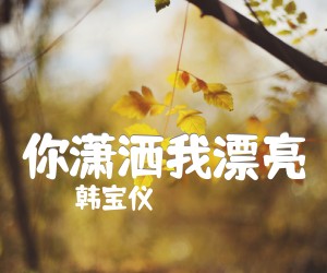 《你潇洒我漂亮吉他谱》_韩宝仪_未知调 图片谱1张