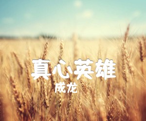 《真心英雄吉他谱》_成龙_C调_吉他图片谱4张