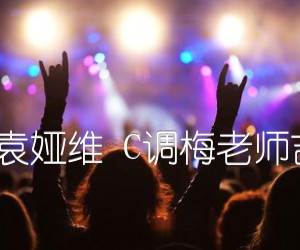 《说散就散 袁娅维 C调梅老师吉他教室版吉他谱》_群星_C调 图片谱1张