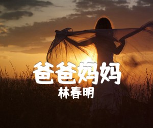 《林春明 爸爸妈妈吉他谱》_林春明_C调 图片谱3张