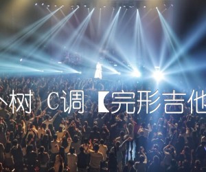 《猎户星座 朴树 C调【完形吉他】沈亮出品吉他谱》_群星_C调_吉他图片谱1张