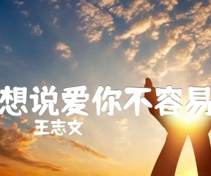 《想说爱你不容易吉他谱》_王志文_D调 图片谱2张